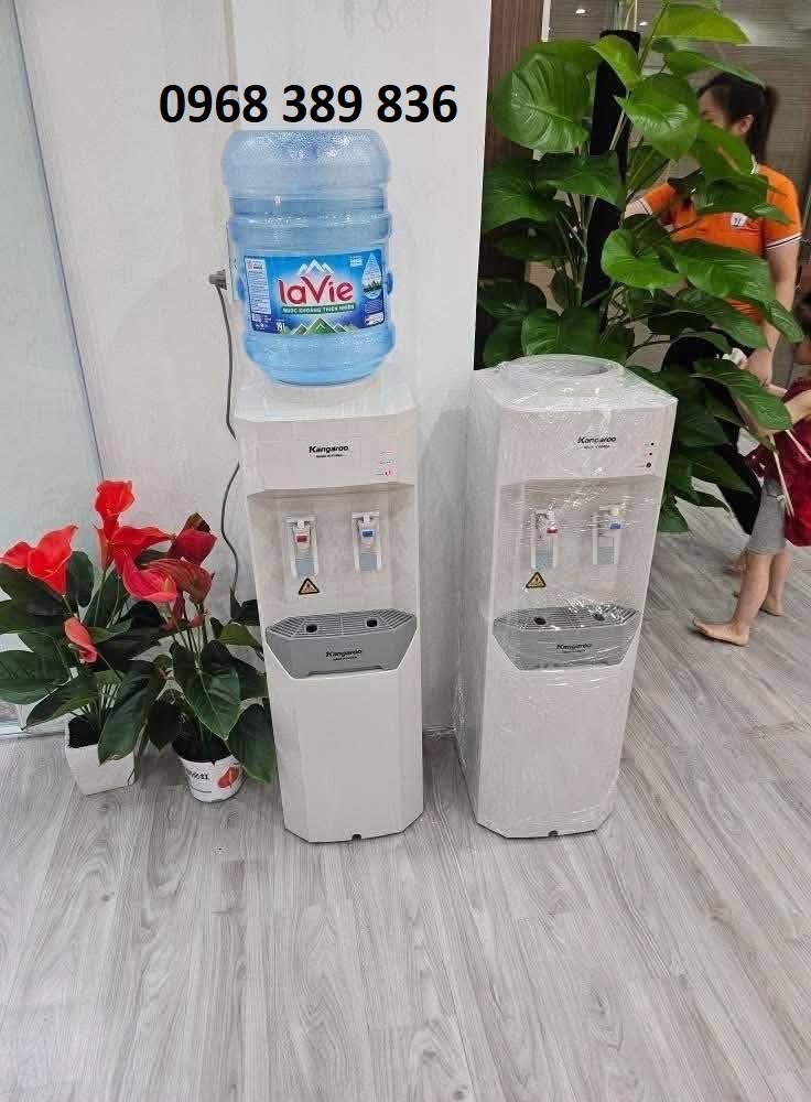 Sửa Cây Nước Nóng Lạnh Tại Đường Kiến Hưng Hà Đông